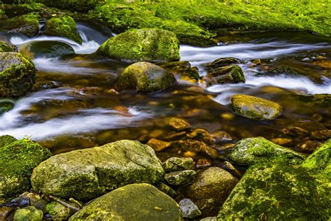 Images Gratuites Plan D Eau La Nature Courant Ressources En Eau