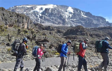 Mount Kilimanjaro Shira Plateau Day Hike Oserok Trips