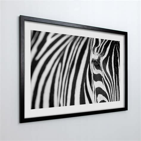 Obraz W Ramie Na Ścianę Zebra Głowa Pasy 70X50 Cm Opinie i atrakcyjne