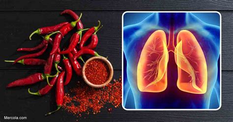 Chili Peppers Could Slow Progression of Lung Metastasis