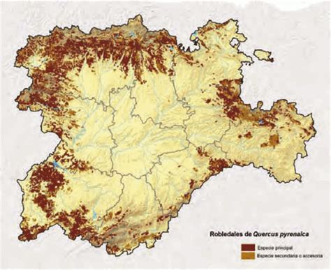 Educaci N Forestal Mapas De Vegetaci N De Castilla Y Le N