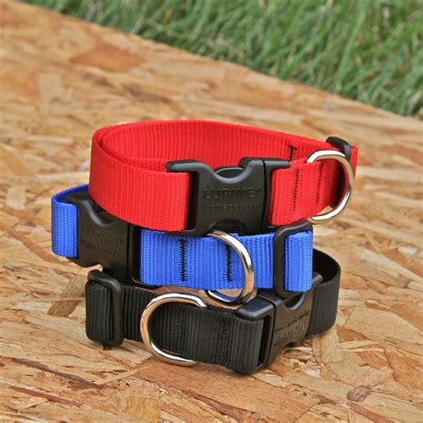 Lupine 1" Solid Collars – Indestructible Dog