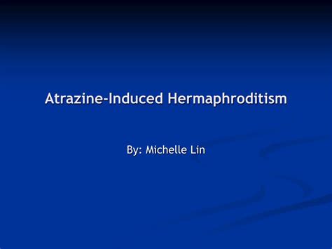 Ppt Atrazine Induced Hermaphroditism Powerpoint Presentation Free Download Id 3374039