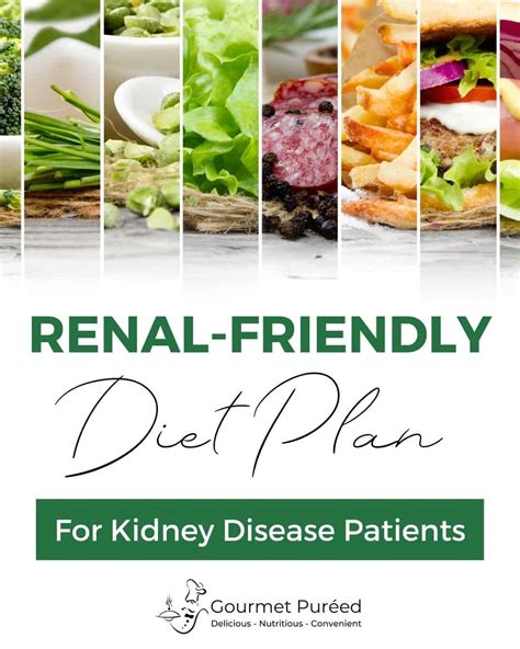 Renal Friendly Diet Plan For Kidney Disease Patients Gourmet Puréed