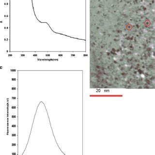 A Uvvis Spectra Of Cdte Qds B Tem Images Of Cdte Qds And C