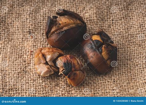 Roasted Chestnut With Shell Stock Photo Image Of Organic Closeup