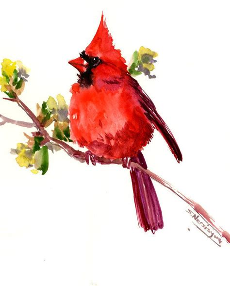 Pin on Watercolor birds