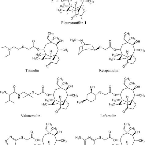 Structures Of Pleuromutilin Pleuromutilin Drugs And Download Scientific Diagram