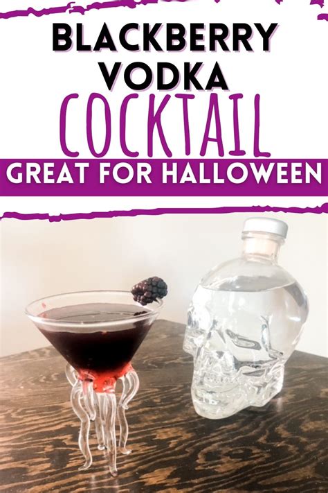 Blackberry Vodka Cocktail Recipe