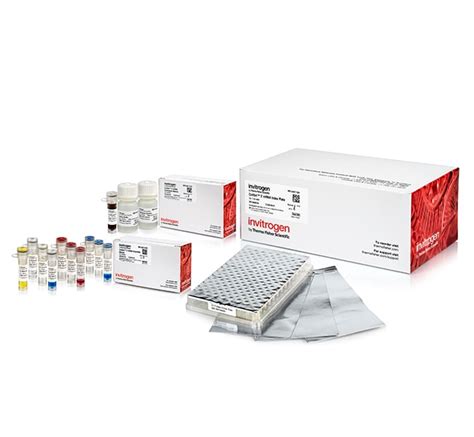 Invitrogen Collibri 3 MRNA Library Prep Kit For Illumina Systems