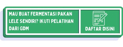 Cara Fermentasi Pakan Lele Dengan Probiotik Agar Cepat Besar