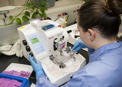 Pathology Lab Processes Tissue