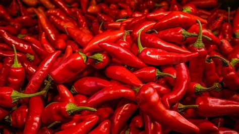 Chili Peppers For Sale Are In A Pile Background A Lot Of Bright Red