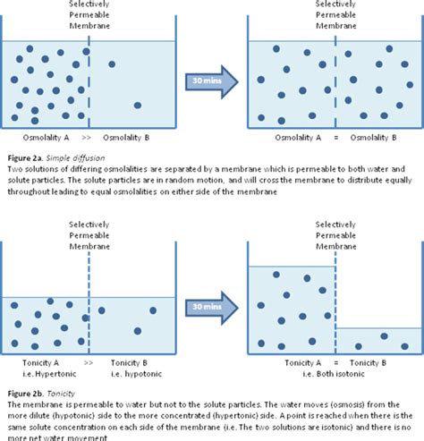 Body Fluids Part 1 Wfsa Resources