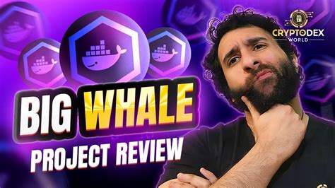 BigWhale IO Review 2023 Daily ROI From 0 8 To 2 Defi BNB Staking