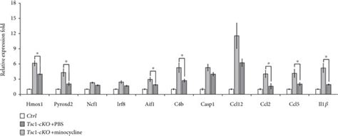 The Effect Of Minocycline On Tsc1 CKO Mouse Retina A B Retina