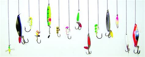 What kind of bait should I use? - iOutdoor Fishing Adventures