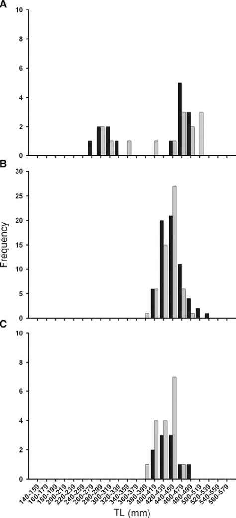 Total Length Tl Frequency Histogram For Female Black Bars And Male Download Scientific