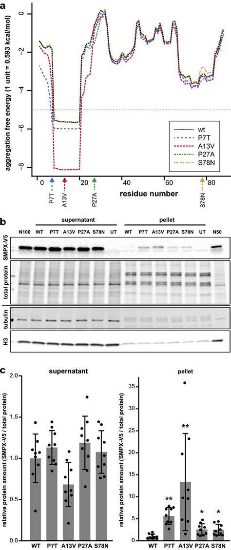 Aggregation Propensity Of Mutant Smpx A In Pasta Prediction An