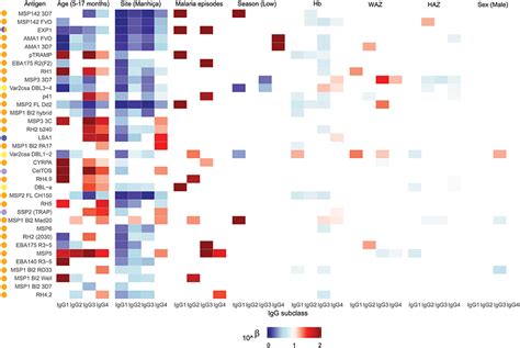 Frontiers Differential Patterns Of IgG Subclass Responses To