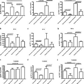 Effect Of Resveratrol On Cell Line Viability Dose Response Of Various