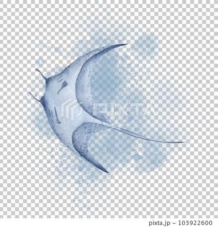 Manta Ray Fish With Watercolor Splashes Hand Stock Illustration