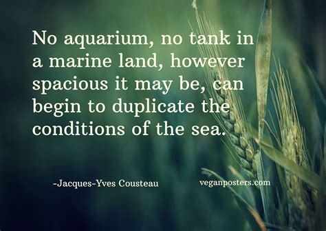 aquarium  tank   marine vegan posters