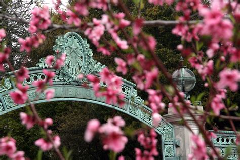 “When I Was at UC Berkeley…” - Cal Alumni Association