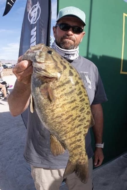 Lake Havasu - Havasu City, AZ - Fish Reports & Map