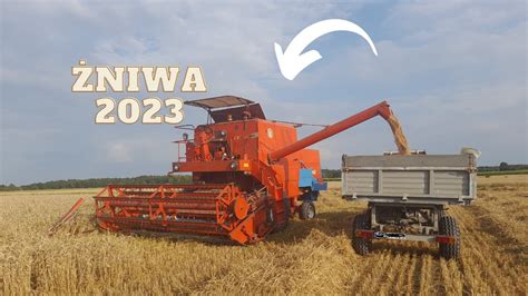 ŻNIWA PSZENICY 2023 OGIŃ Z RURY BIZONEM z056 URSUS C 3603P ZETOR 7211