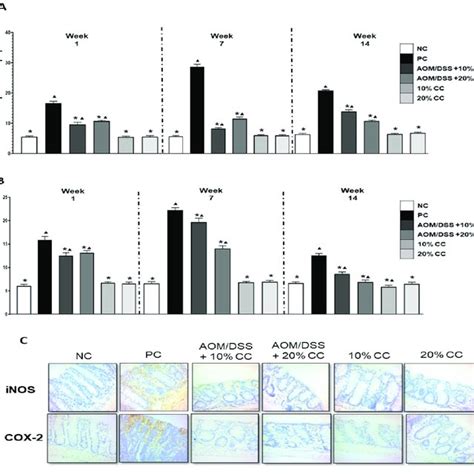 A Percentage Of Inos Expression In Balb C Mice Colon At The Three