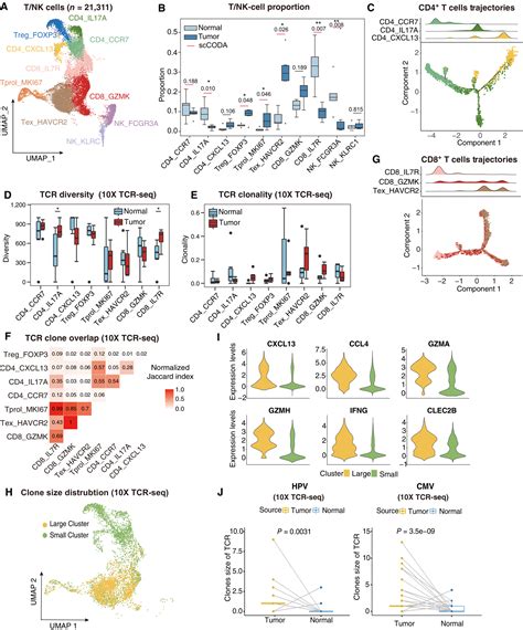 Singlecell Dissection Of Cervical Cancer Reveals Key Subsets Of The