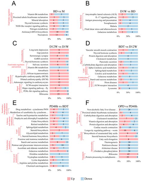 Ijms Free Full Text Comparative 4d Label Free Quantitative