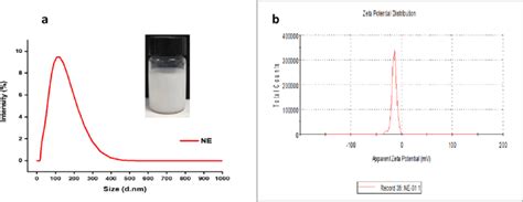 Particle Size A And Zeta Potential B Analysis Of Ne Download