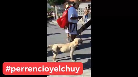 Perro Callejero Defiende A JesÚs Cuando Vio Que Soldados Romanos Lo Azotaban Youtube