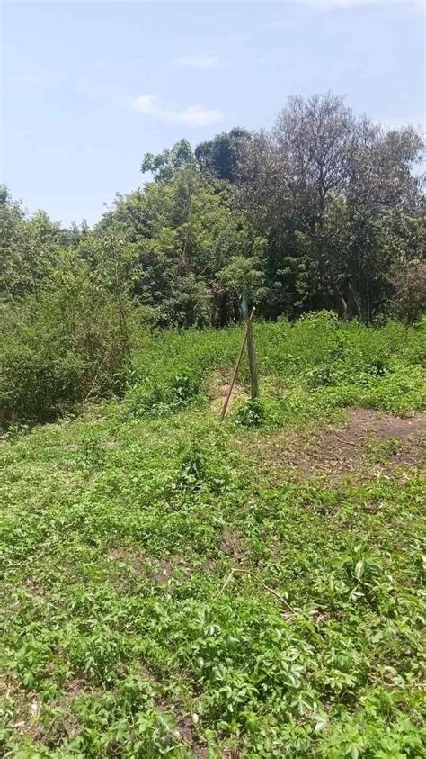 Venta Lote De Terreno En Dos Montes Villahermosa Tabasco Icasas Mx