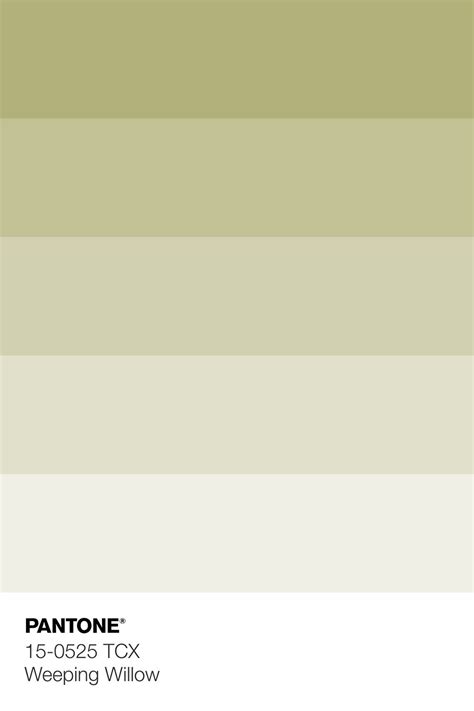 Pantone Colour Palettes Muted Color Palette Colour Tint Pantone