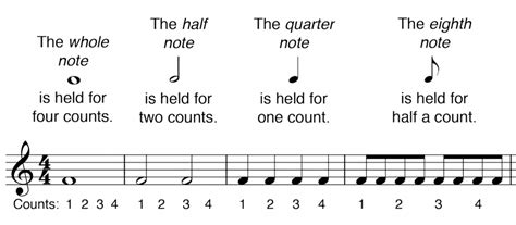 Music Note Values Chart