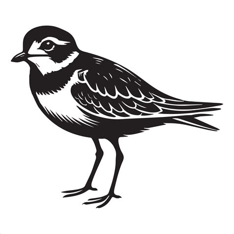 Piping Plover Silhouette - Plover Birt Clipart, Piping Plover Facing