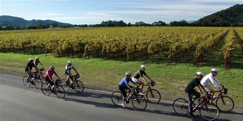 Classic Napa Valley Bike Tour – $111 per person! – WineCountry.com