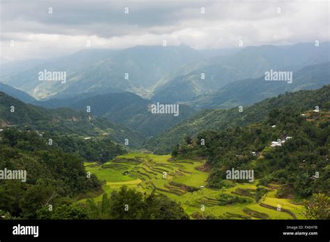 Batad Rice Terraces In Ifugao Philippines Stock Photo Alamy