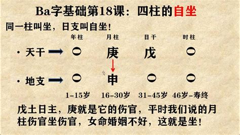 第18课 四柱的自坐 【八字基础课程，零基础，让你轻松学八字】 Youtube