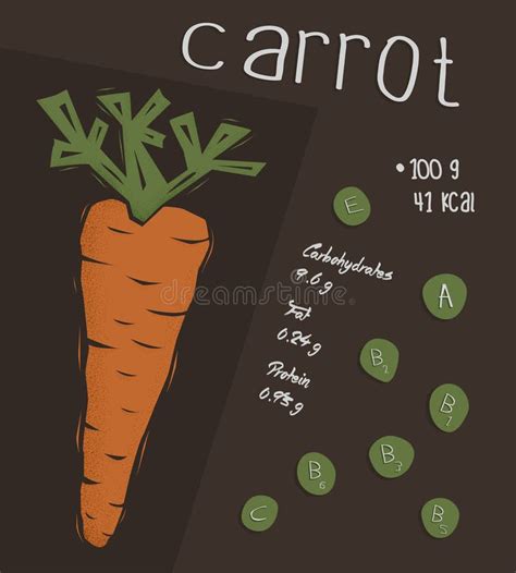 Carrot Nutrition Facts Stock Vector Illustration Of Diet 53688176