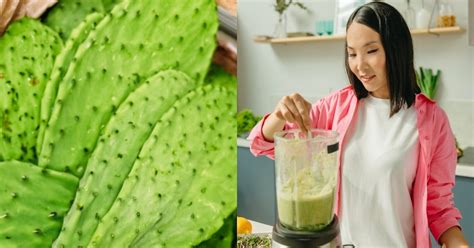 Jugo De Nopal La Bebida Saludable Que Mejora Tu Digesti N Y Controla