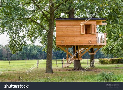 treehouse window stock  images photography shutterstock