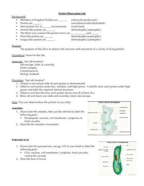 Protist Observation Lab Background â ¢ Members Of Kingdom Protista