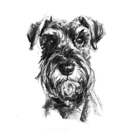 10 Best Schnauzer Dog Tattoo Ideas Pet Reader