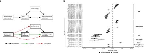 Causal Inference Analyses A Mendelian Randomisation Analysis Using