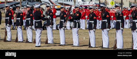 Marines with the Silent Drill platoon conduct their “rifle inspection” sequence during a Battle ...