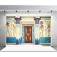 Amazon AOFOTO 7x5ft Ancient Egyptian Mural Backdrop Photography